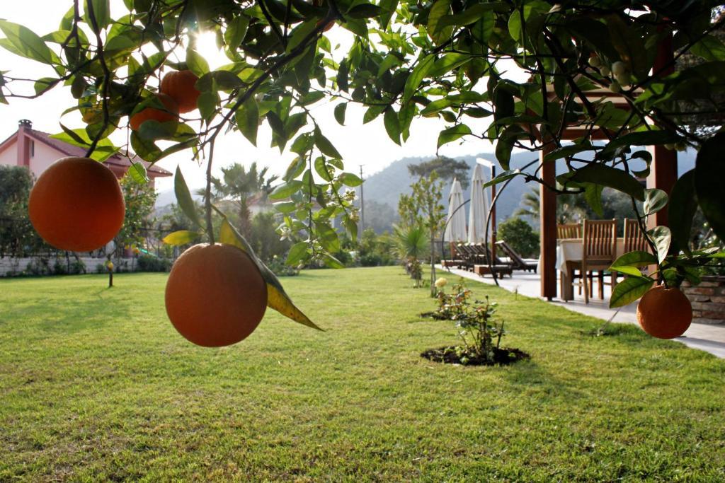 Gocek Arion Hotel Екстериор снимка